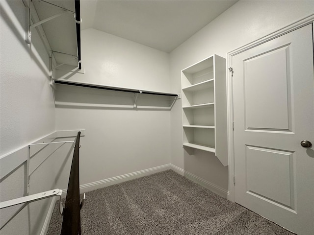 spacious closet with carpet flooring