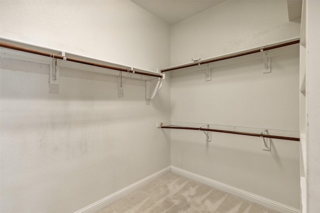 walk in closet with light colored carpet