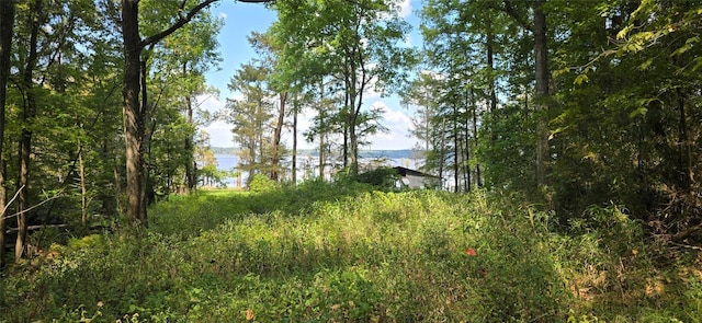view of local wilderness with a water view