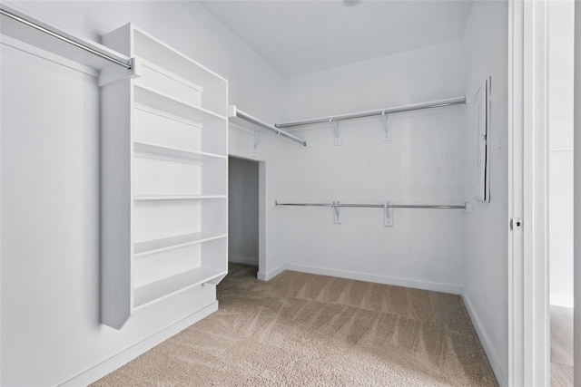 walk in closet featuring carpet flooring