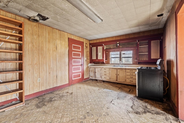 kitchen with wooden walls, open shelves, a sink, and range with gas stovetop