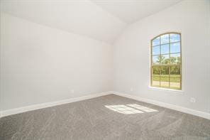 empty room with lofted ceiling, baseboards, and carpet flooring