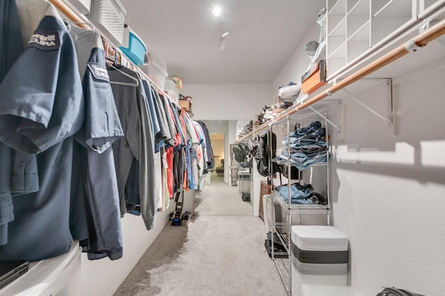 spacious closet with carpet