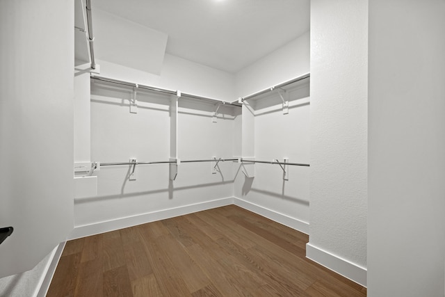 spacious closet featuring dark wood-style flooring