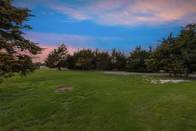 view of yard at dusk