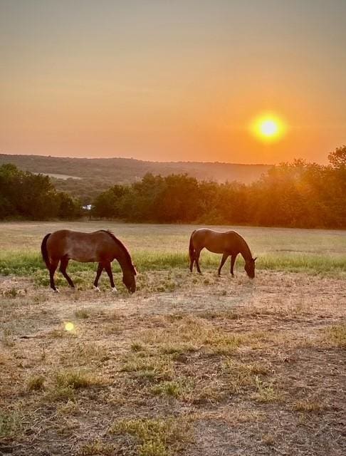 view of stable with a rural view