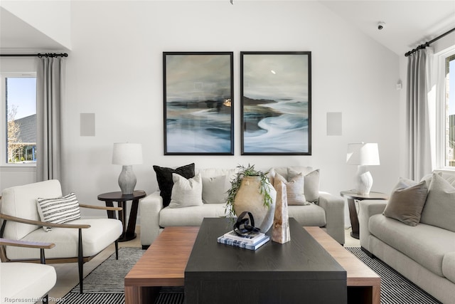 living room with lofted ceiling, a wealth of natural light, and wood finished floors