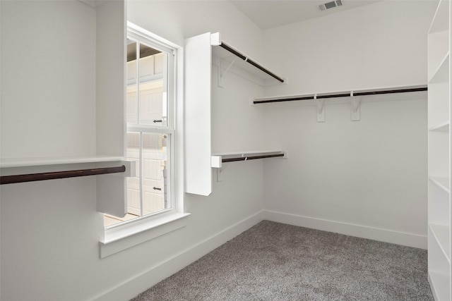 spacious closet featuring carpet and visible vents