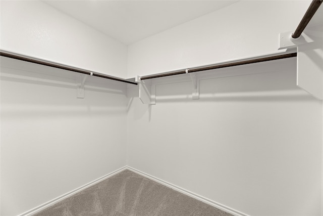 1825 Osage Trl, Mesquite, TX 75149 - walk in closet featuring carpet