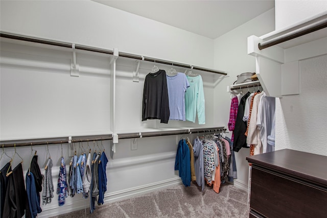 walk in closet featuring carpet