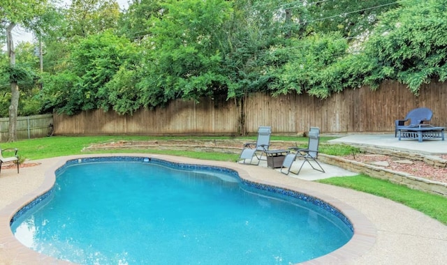 view of pool with a patio area, a fenced backyard, and a fenced in pool