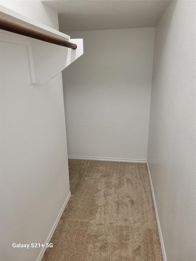 walk in closet with carpet flooring