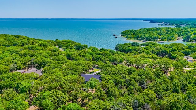 drone / aerial view featuring a forest view and a water view
