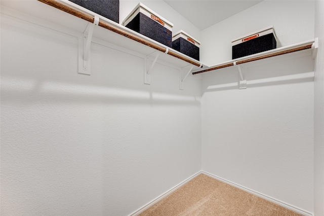 walk in closet featuring carpet