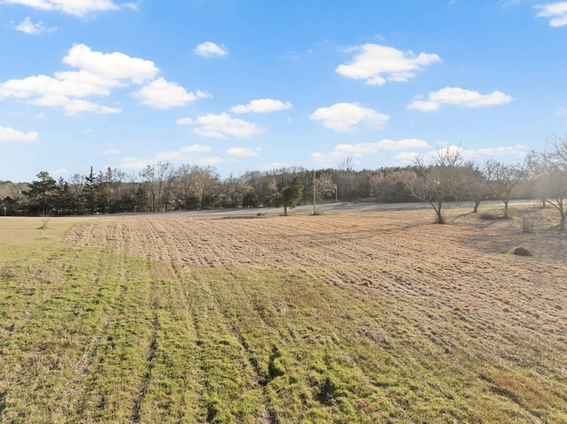 view of yard featuring a rural view