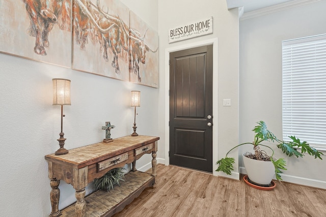 entrance foyer featuring crown molding, baseboards, and wood finished floors