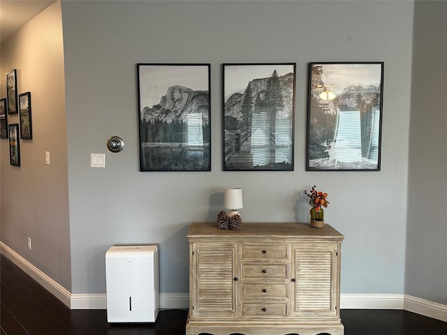 details with baseboards and wood finished floors