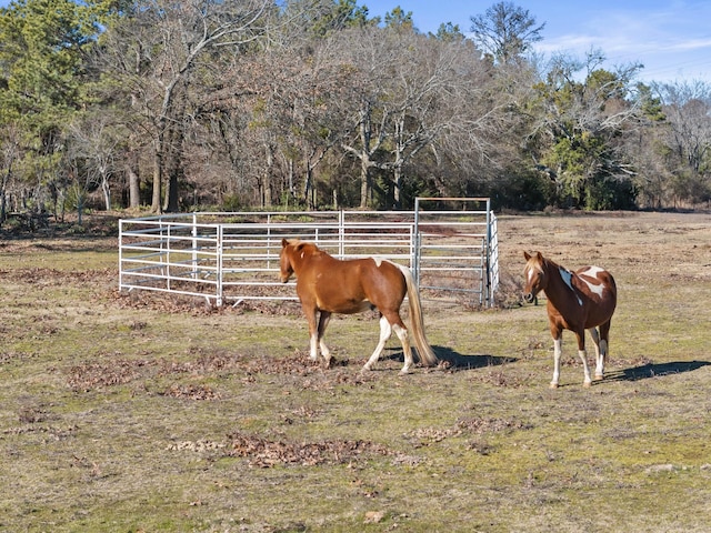 view of horse barn featuring a rural view