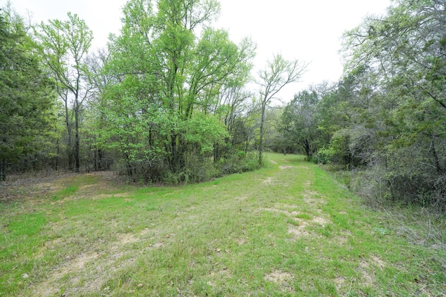 view of yard featuring a view of trees