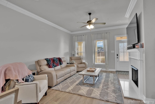 living room with ceiling fan, ornamental molding, a fireplace, and wood finished floors