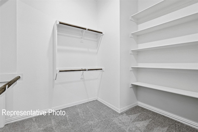 walk in closet with carpet flooring