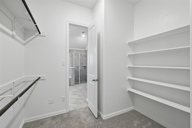 walk in closet with carpet floors