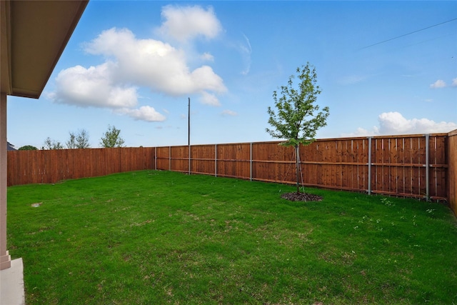 view of yard with a fenced backyard
