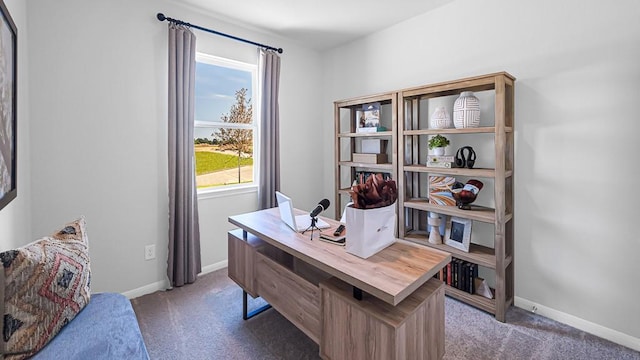 home office with carpet floors and baseboards