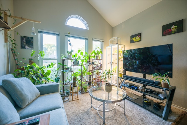 living area with high vaulted ceiling