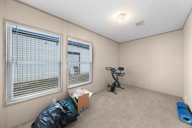 workout room featuring carpet flooring, crown molding, and visible vents