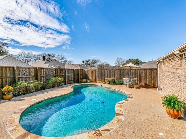 view of pool featuring a fenced in pool, a fenced backyard, and a patio