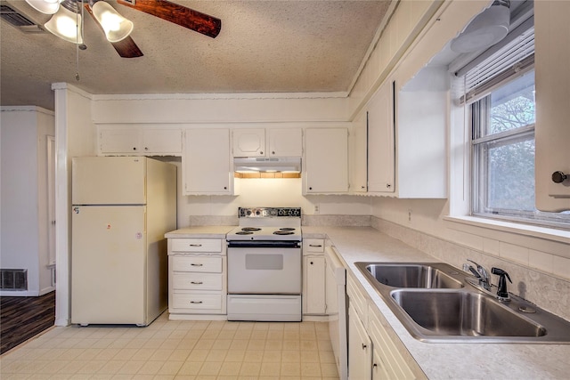 kitchen featuring visible vents, white cabinetry, a sink, white appliances, and under cabinet range hood