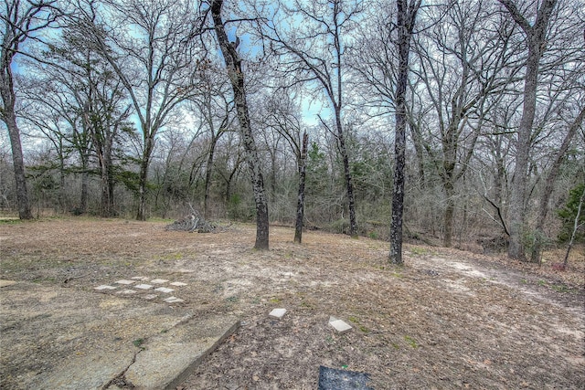 view of yard featuring a forest view