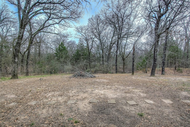 view of local wilderness featuring a wooded view