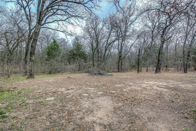 view of local wilderness with a wooded view