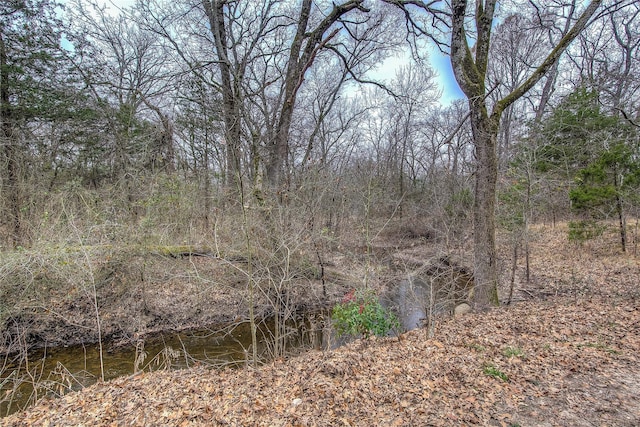 view of landscape with a wooded view