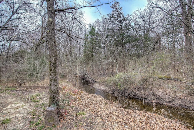 view of local wilderness featuring a forest view