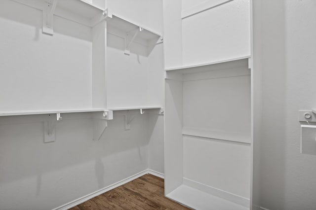 walk in closet with dark wood-type flooring