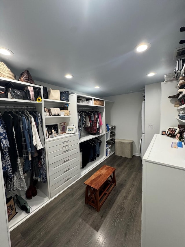 walk in closet featuring dark wood-style floors