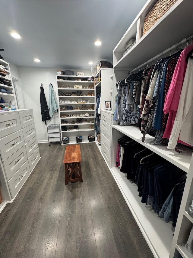 spacious closet featuring dark wood-type flooring