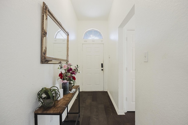 entryway with dark wood finished floors and baseboards