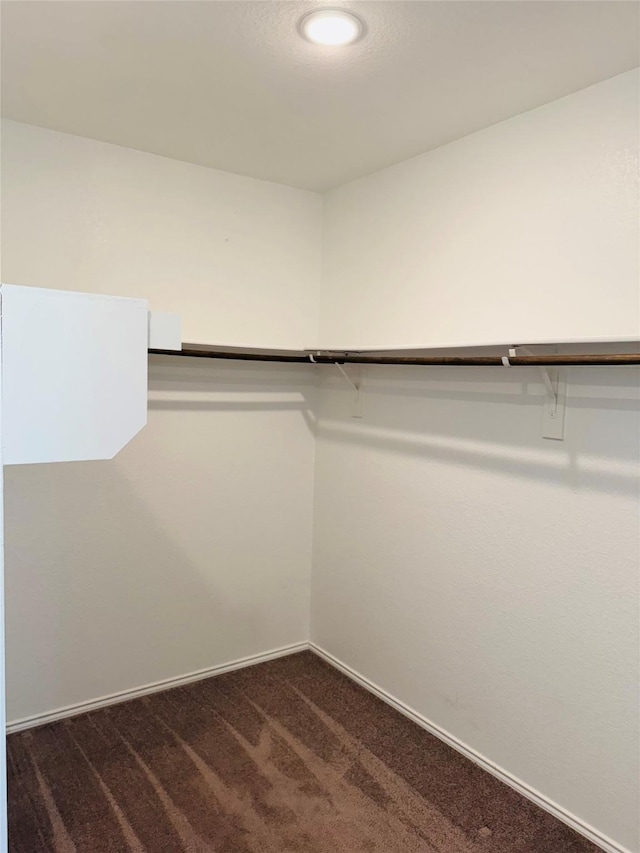 spacious closet featuring dark colored carpet