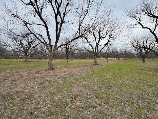 8225 Ravenswood Rd, Granbury TX, 76049 land for sale