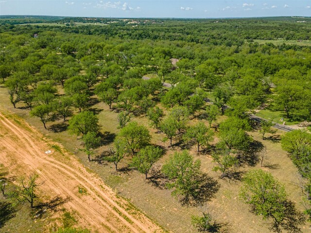 8225 Ravenswood Rd, Granbury, TX 76049