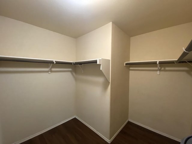 walk in closet with wood finished floors