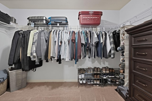 walk in closet featuring carpet floors