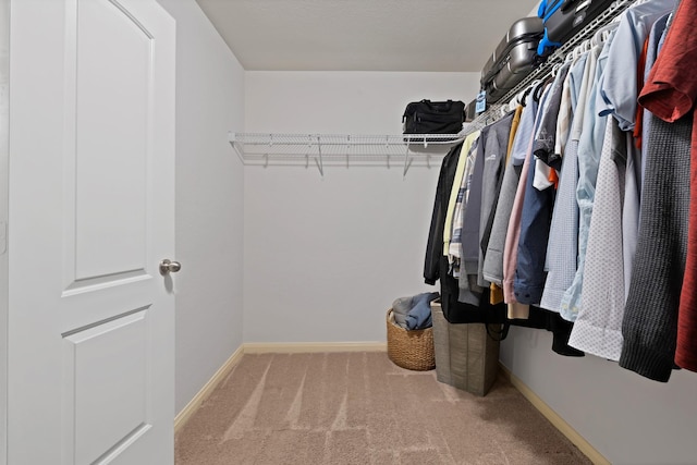 spacious closet with carpet floors