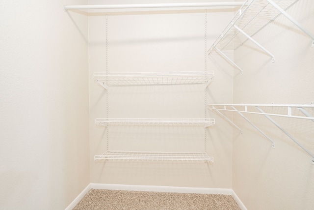 spacious closet featuring carpet floors