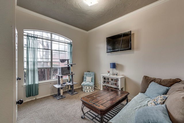 carpeted living room featuring a textured ceiling, baseboards, and crown molding