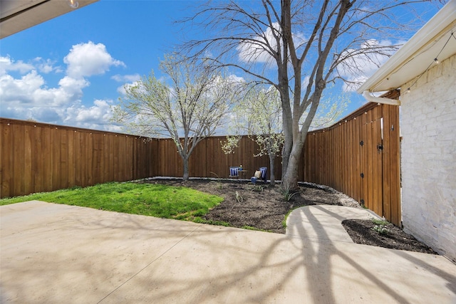 view of yard featuring a patio and a fenced backyard